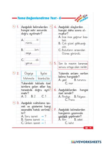 Tema değerlendi̇rme