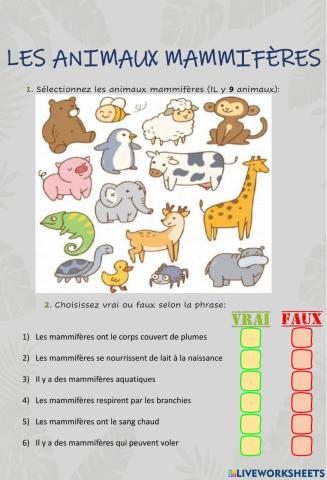 Les animaux mammifères