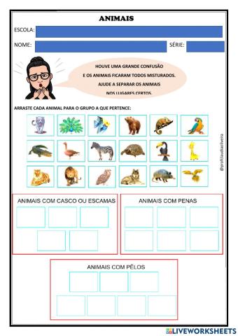 Características dos animais