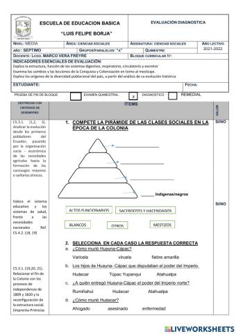 Evaluacion de diagnostico de estudios sociales