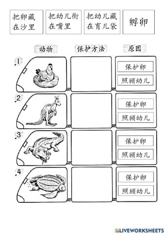 二年级科学动物