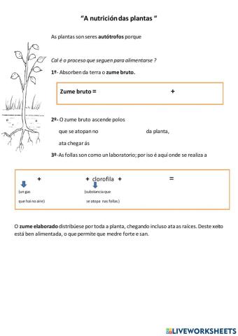 A nutrición das plantas