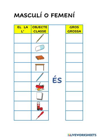 Objectes de la Classe. Masculí o femení