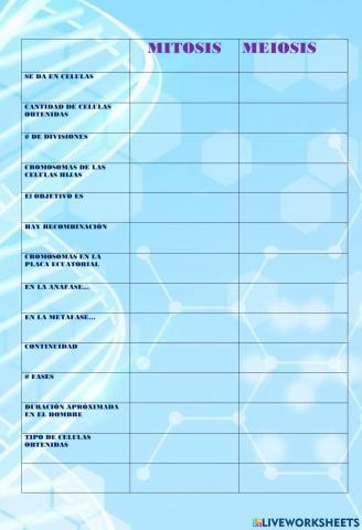 Meiosis y mitosis
