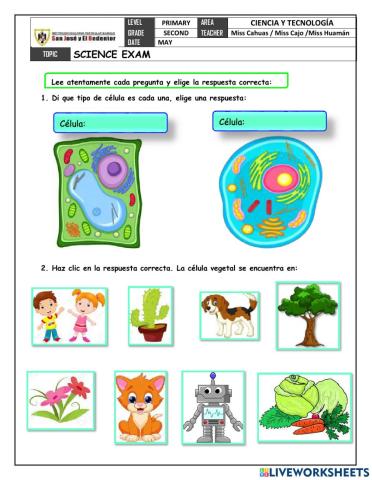 Examen Mensual de Ciencia y Tecnolgía