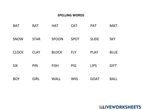 Exam spelling words