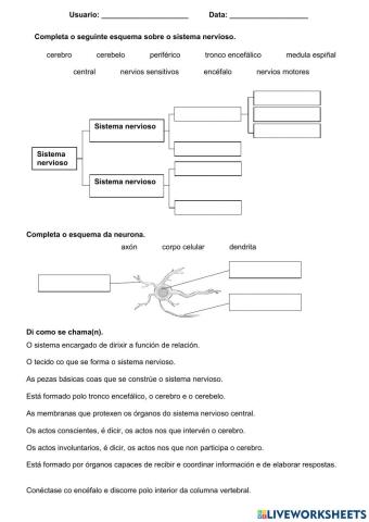 A función de relación 2. O sistema nervioso