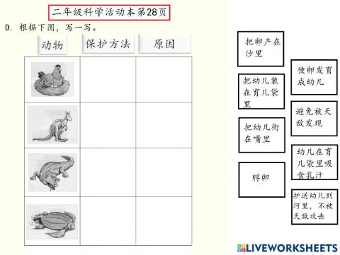 Kssr year 2 SN workbook pg 28