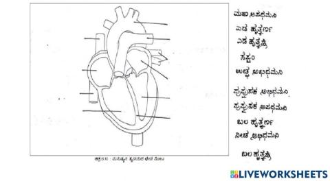 Sslc science biology