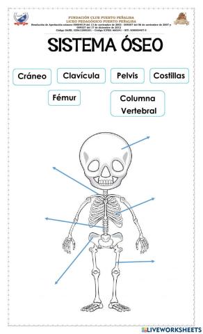 Sistema Oseo