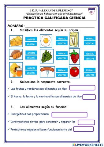 Ciencia - los alimentos