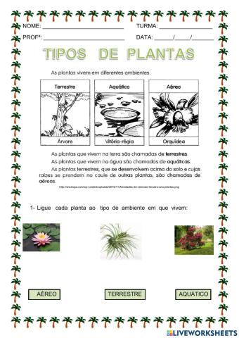 Ambiente  das  plantas