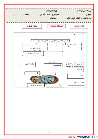 التنفس الهوائي