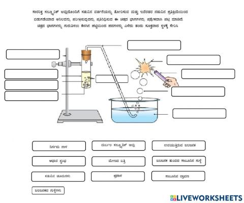 REACTION OF Zn WITH SULPHURIC ACID