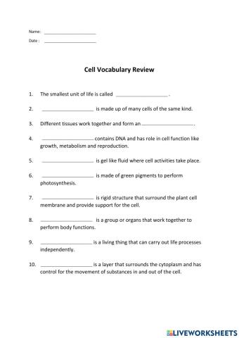 Cell Vocabulary Review