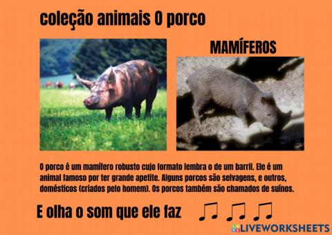 Coleção Animais