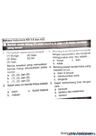 Tema 7