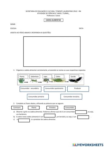 Cadeia alimentar