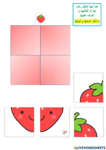 تركيب أجزاء الفراولة