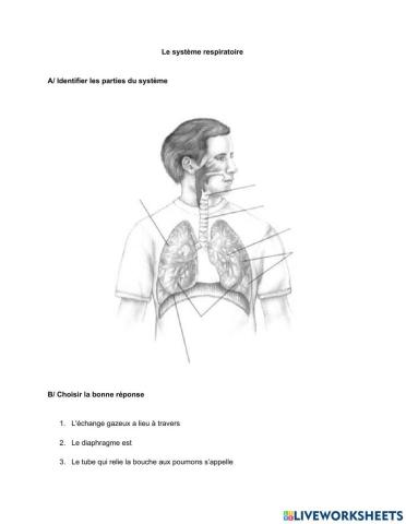 Le système respiratoire