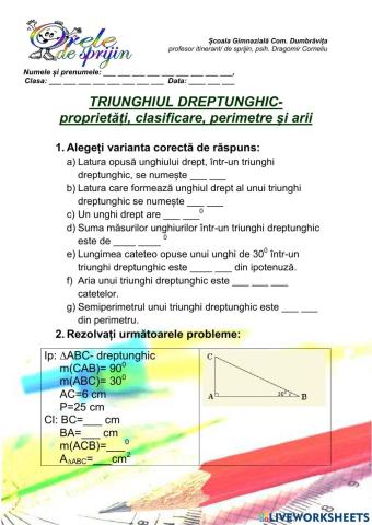 Triunghiul dreptunghic, copii cu CES