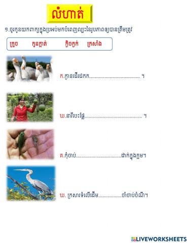 លំហាត់