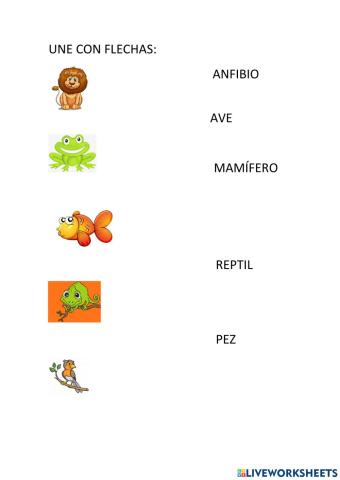 Clasificación animales