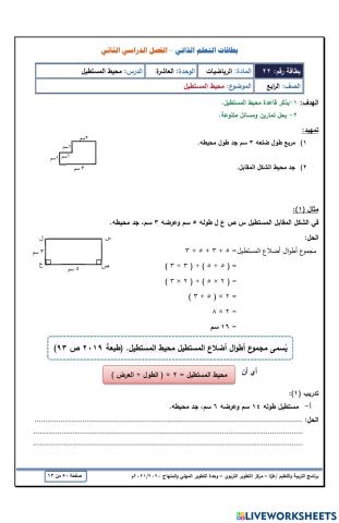 محيط المستطيل