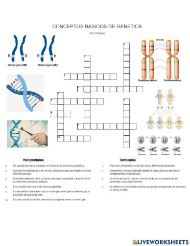 Crusigrama genetica