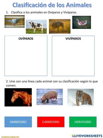 Clasificación de los animales