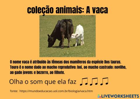 Coleção Animais+ A vaca