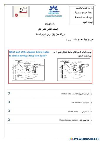 ورقة عمل تفاعلية