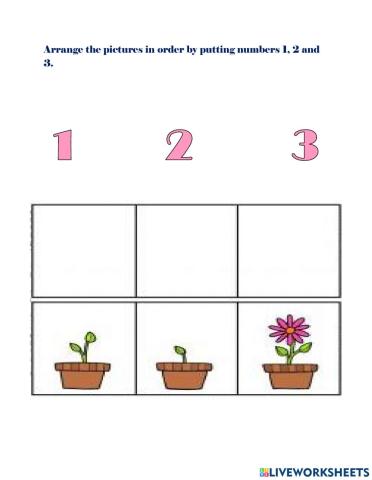 Sequencing pictures