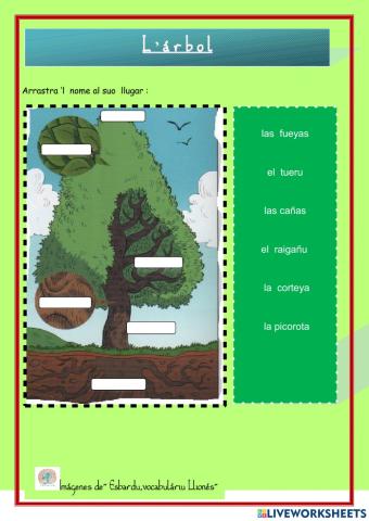 Llionés.L'ÁRBOL. 1º primaria