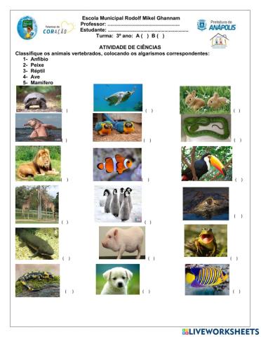 Classificação dos animais