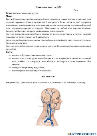 Практичне заняття №28