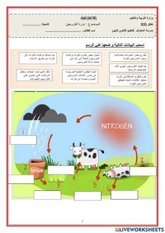 دورة النتروجين