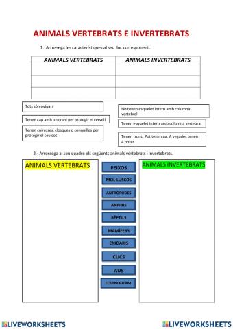 Animals vertebrats i invertebrats