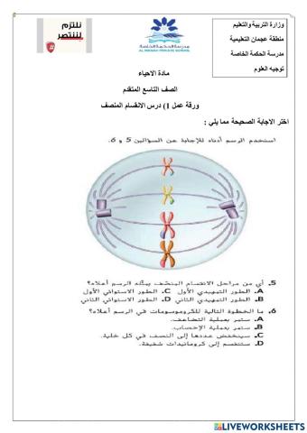 ورقة عمل تفاعلية