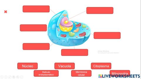Partes de la célula