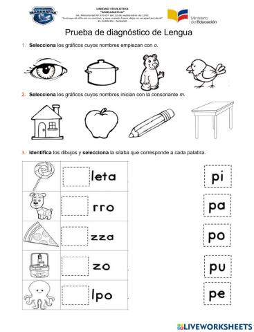 Evaluación Diagnóstica Lengua y Literatura