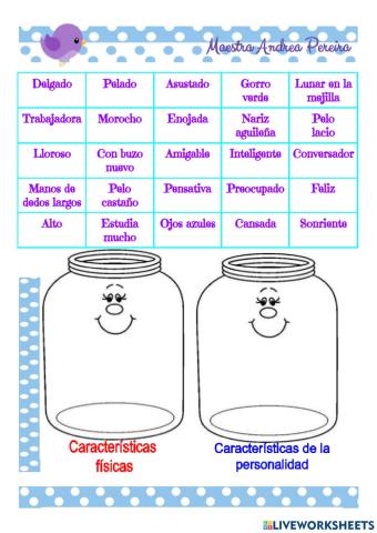 Descripción: clasificación de características