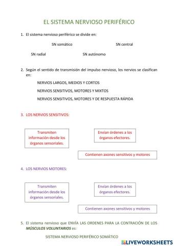 Sistema nervios periférico y enfermedades