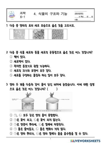 6학년 1학기 4단원 식물의 구조와 기능