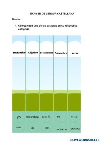 Examen lengua castellana 