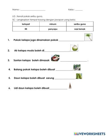 Pokok kelapa