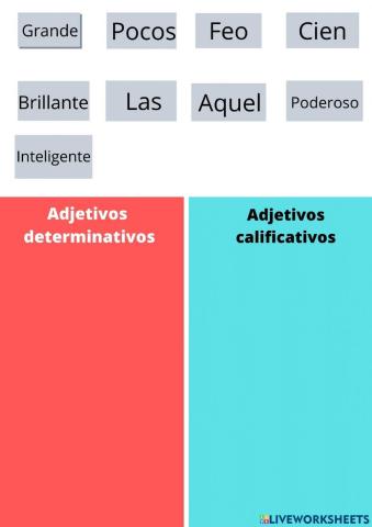 Adjetivos calificativos y determinativos