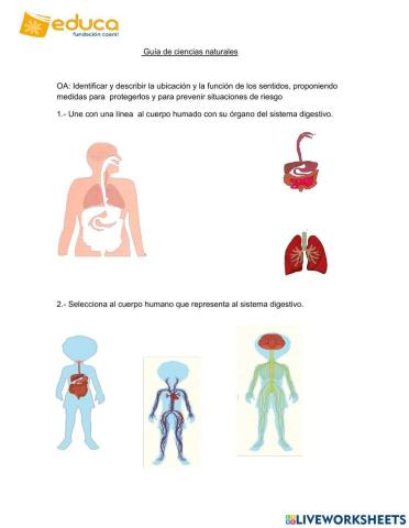 Guía de ciencias naturales