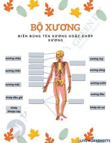 TE VN lớp 2