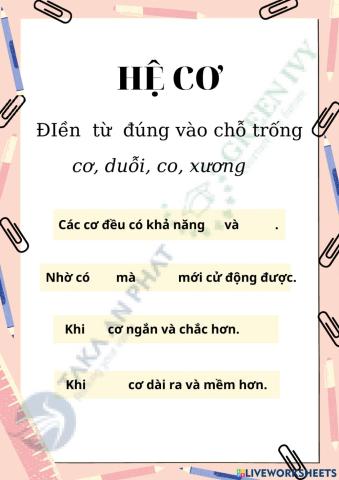 TE VN lớp 2